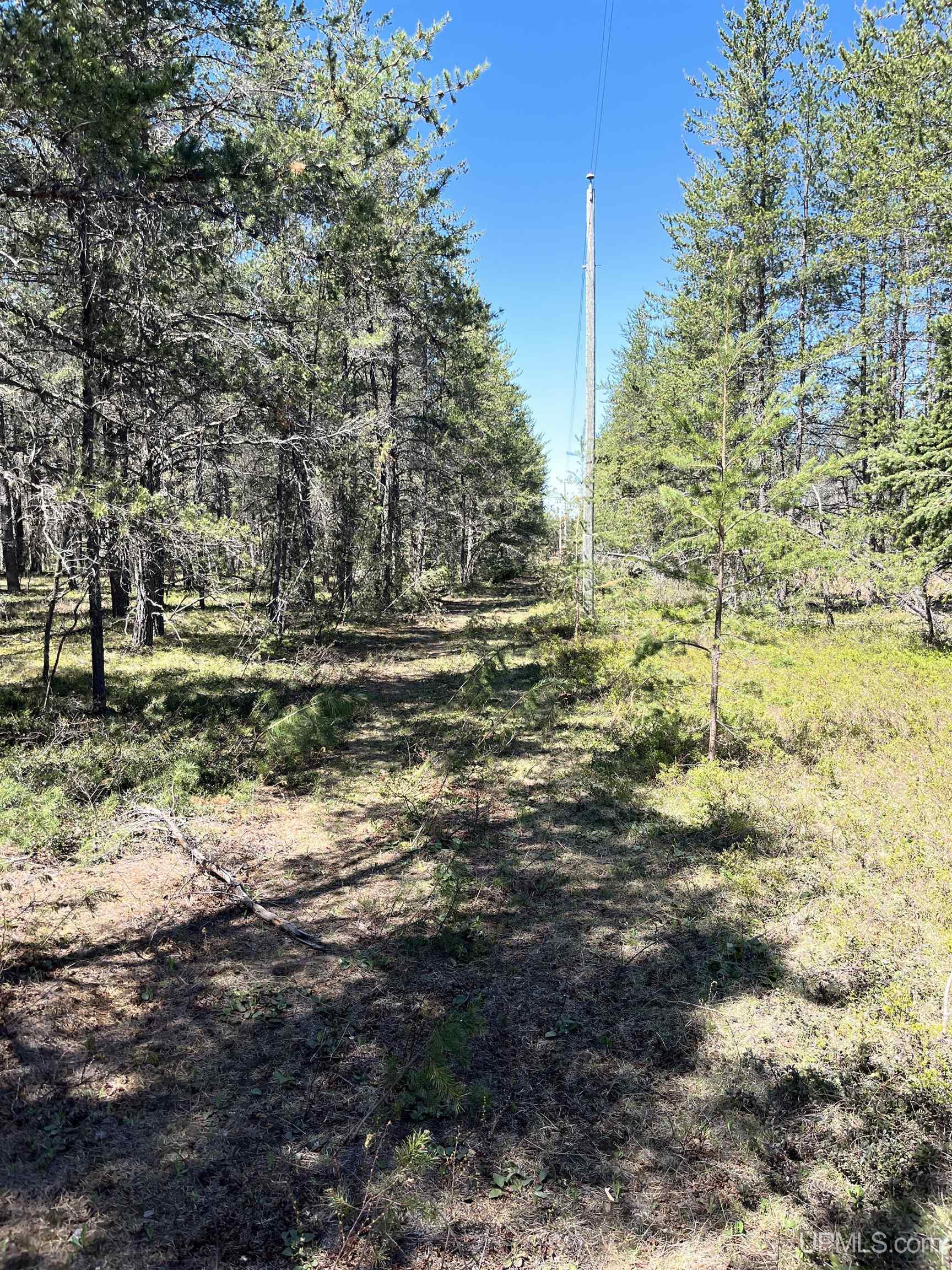 581 County Road 581 Road Ishpeming, MI 49849 - Photo 13 of 30