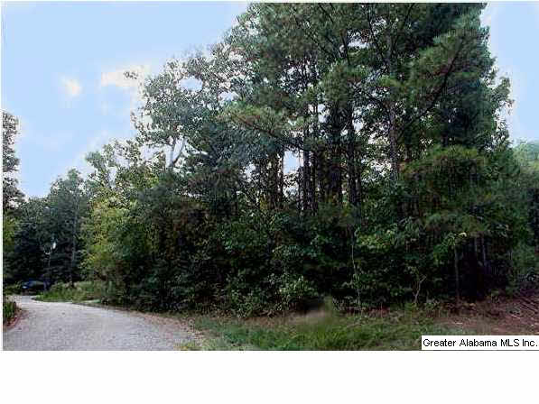 267 Shadowood Lane Sterrett, AL 35147 - Photo 1 of 1