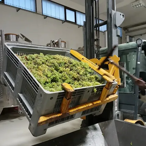a bed sitting in a room next to a lamp