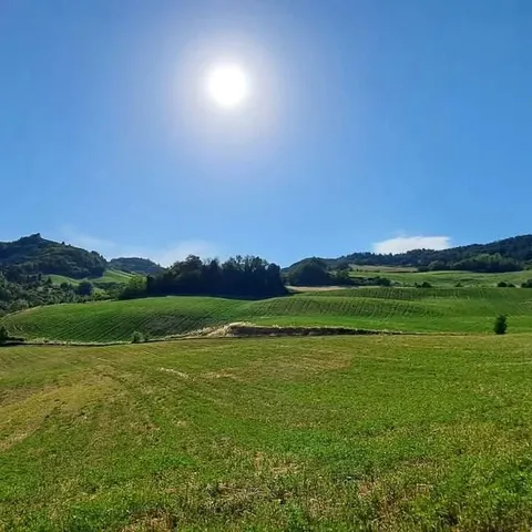 a view of a field with an trees
