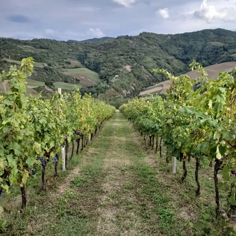 a view of lake with mountain
