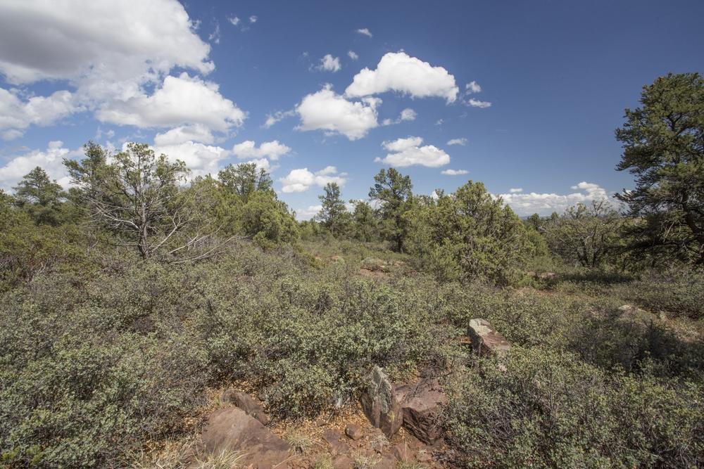 1200 West Airport Road Payson, AZ 85541 - Photo 5 of 50
