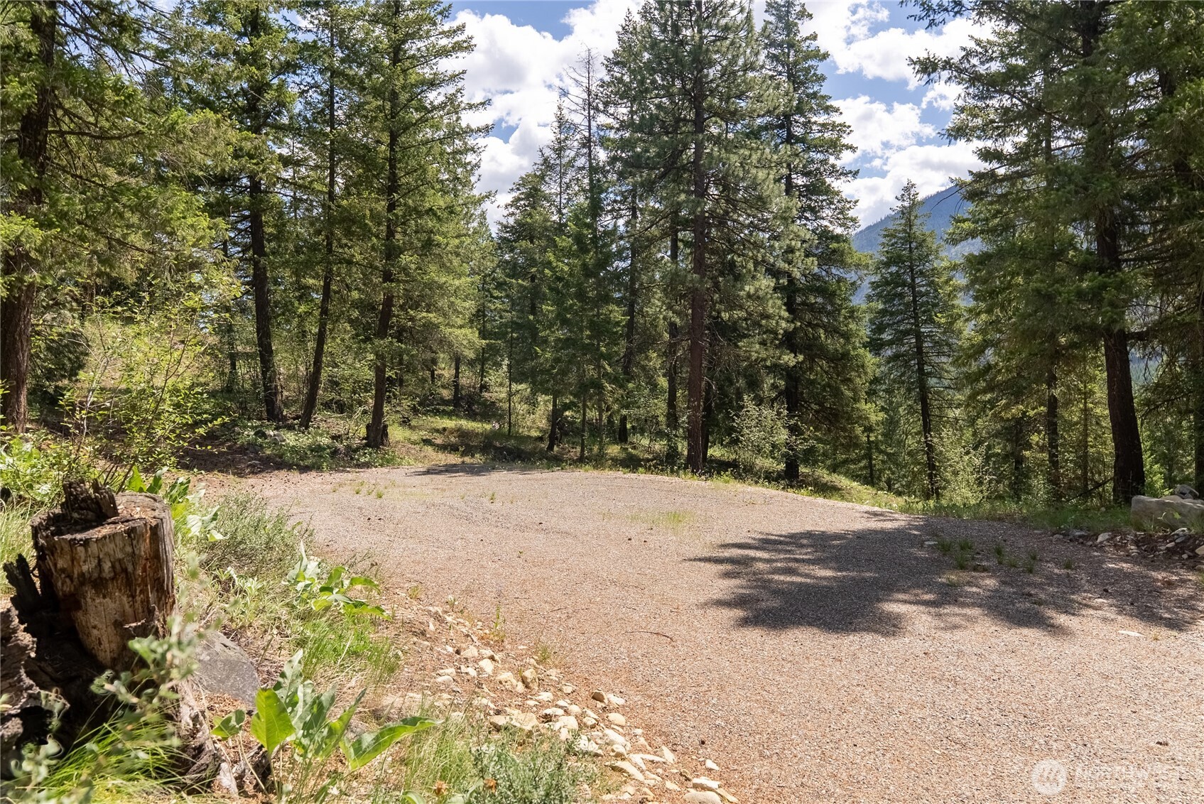 6 Homestead Road Winthrop, WA 98862 - Photo 27 of 40 a street view with large trees