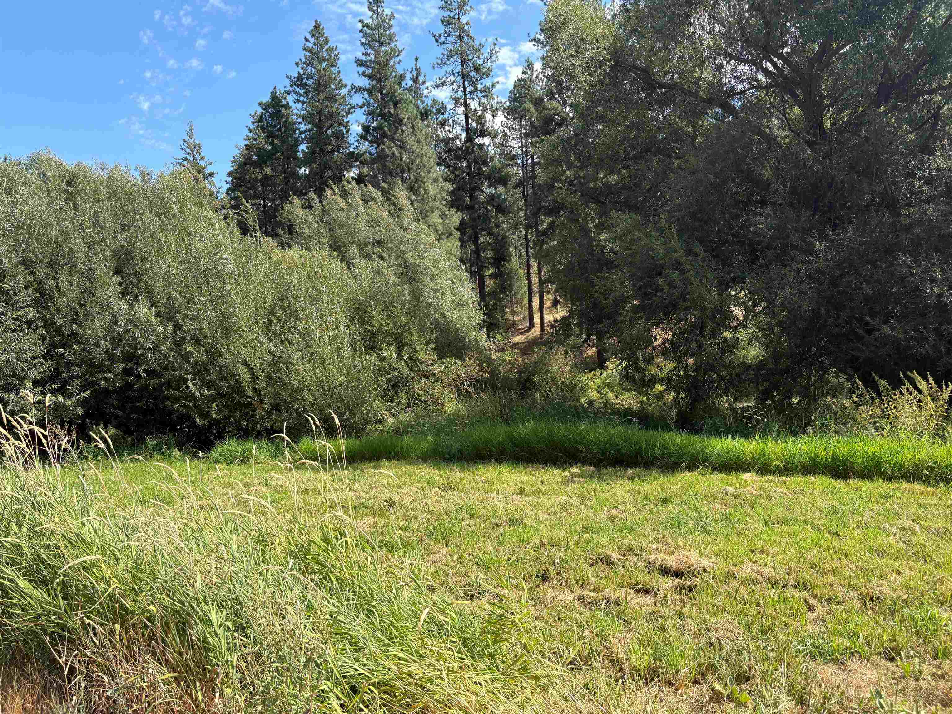 32900 Hawk Creek Ranch Road North Davenport, WA 99122 - Photo 11 of 32