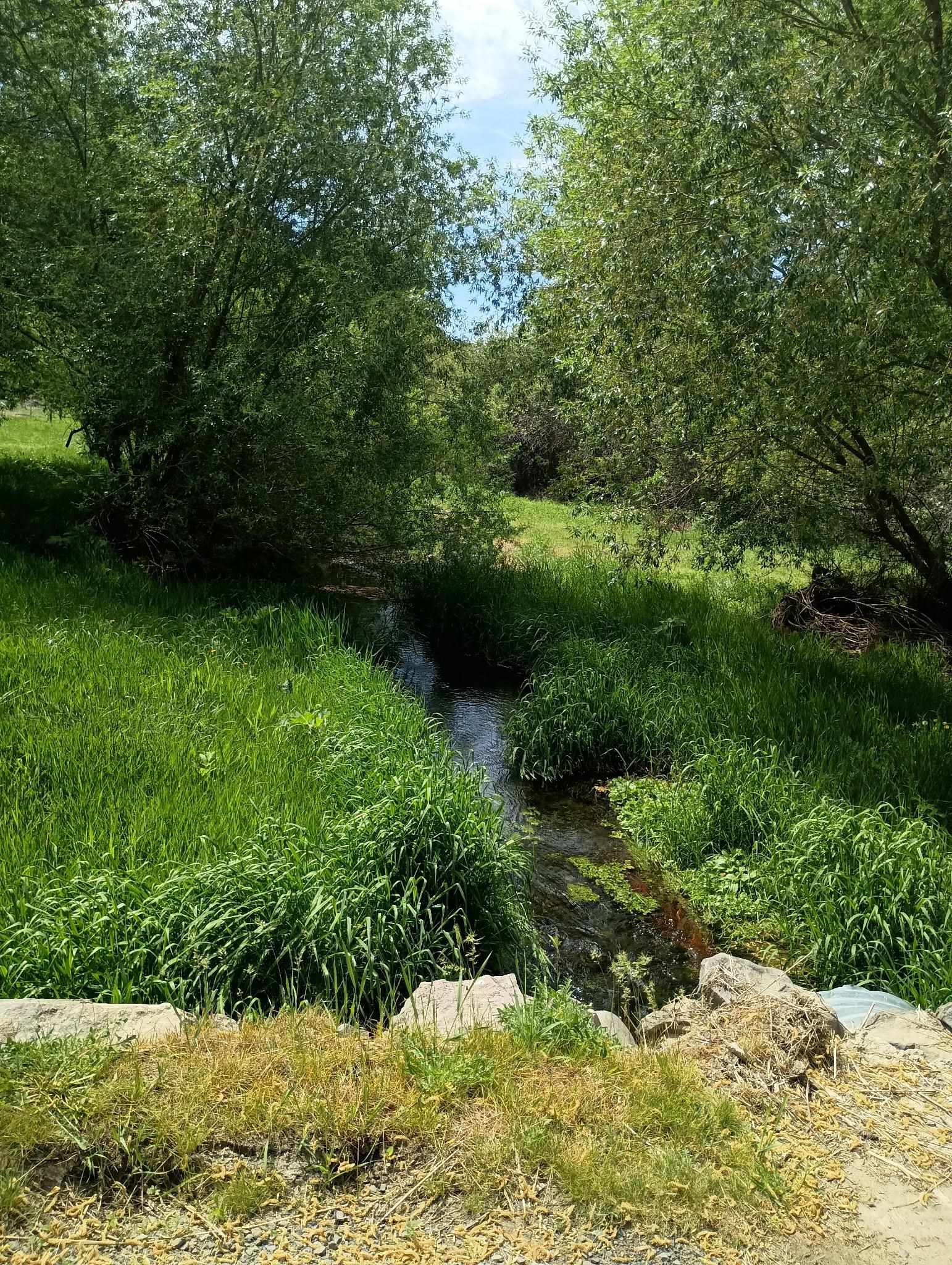 32900 Hawk Creek Ranch Road North Davenport, WA 99122 - Photo 13 of 32