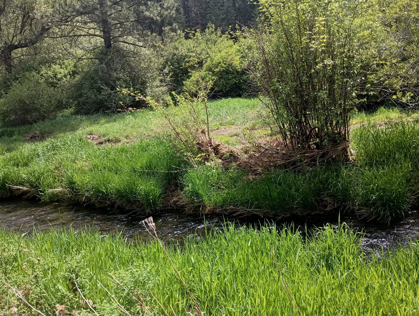 32900 Hawk Creek Ranch Road North Davenport, WA 99122 - Photo 14 of 32