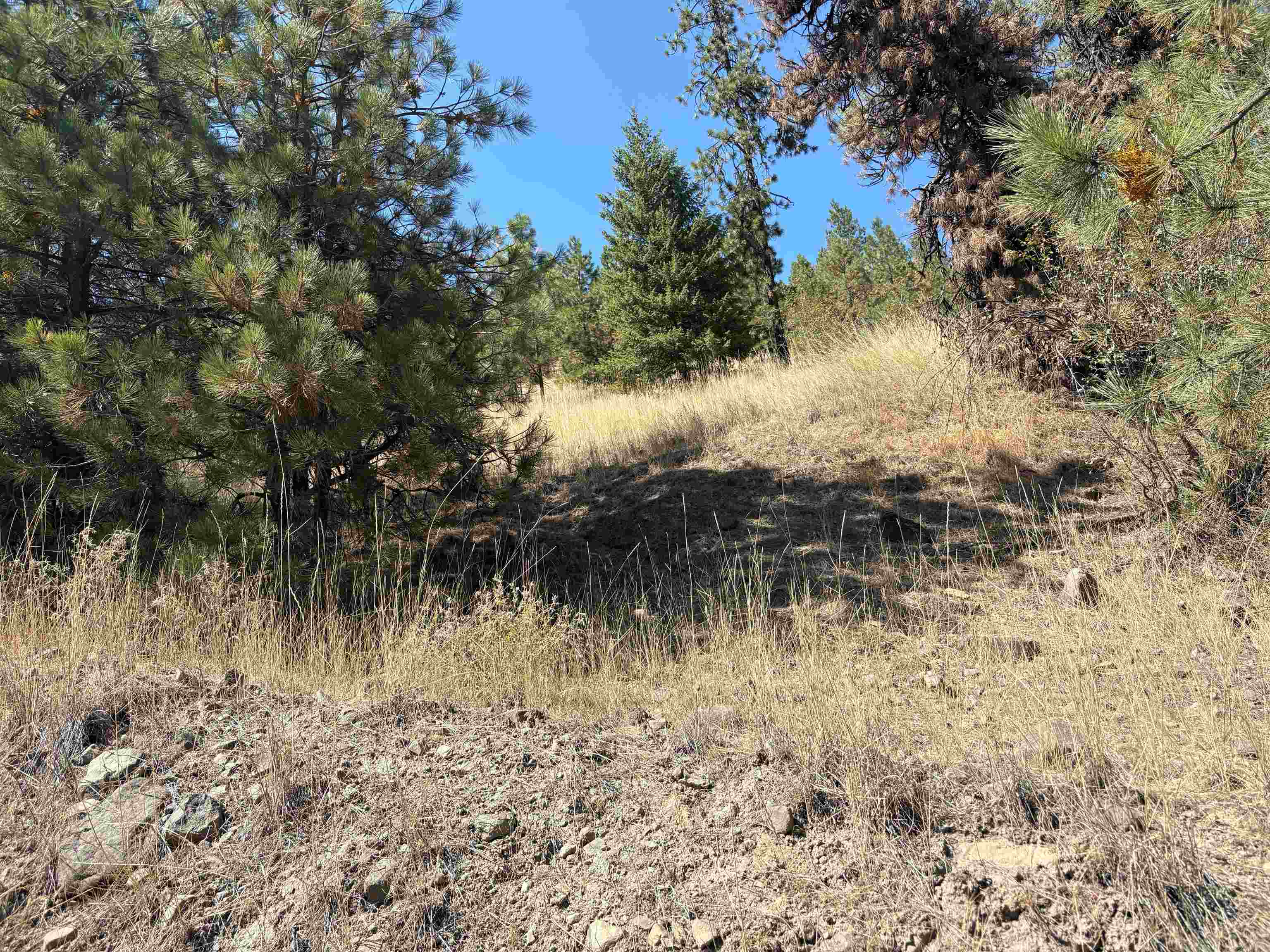 32900 Hawk Creek Ranch Road North Davenport, WA 99122 - Photo 17 of 32