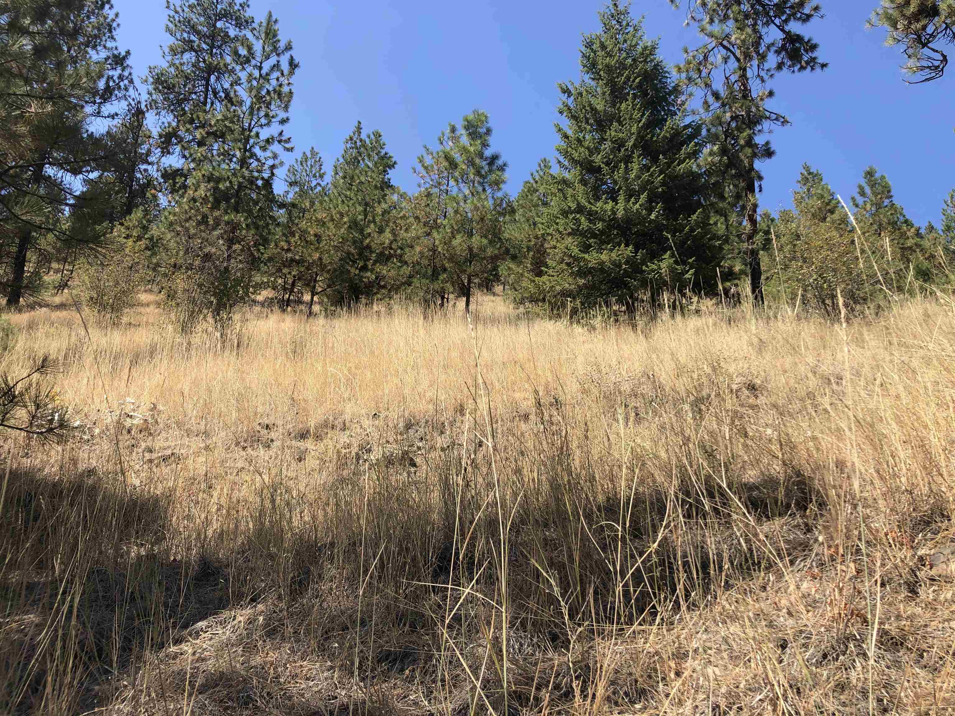 32900 Hawk Creek Ranch Road North Davenport, WA 99122 - Photo 18 of 32