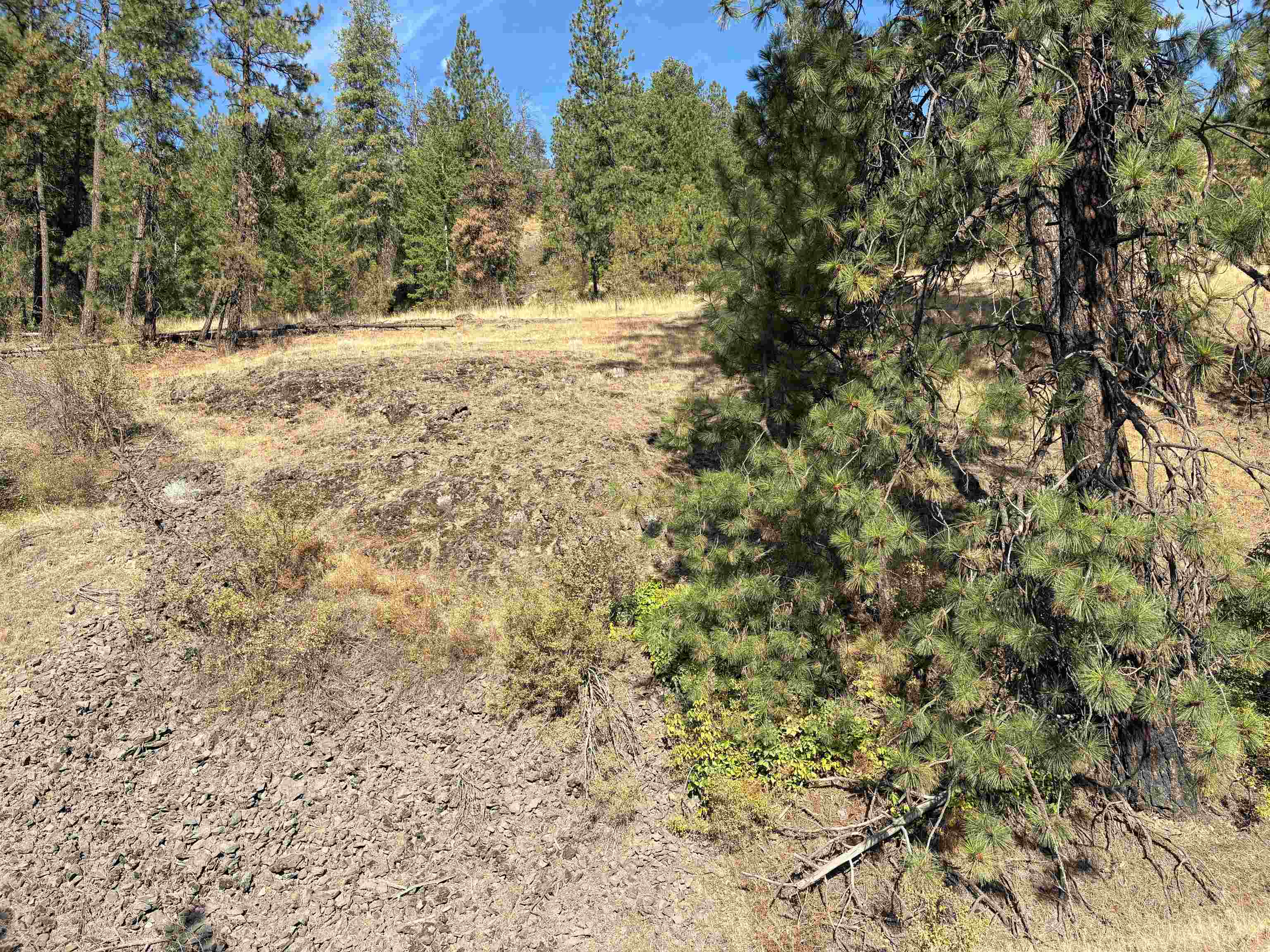 32900 Hawk Creek Ranch Road North Davenport, WA 99122 - Photo 19 of 32