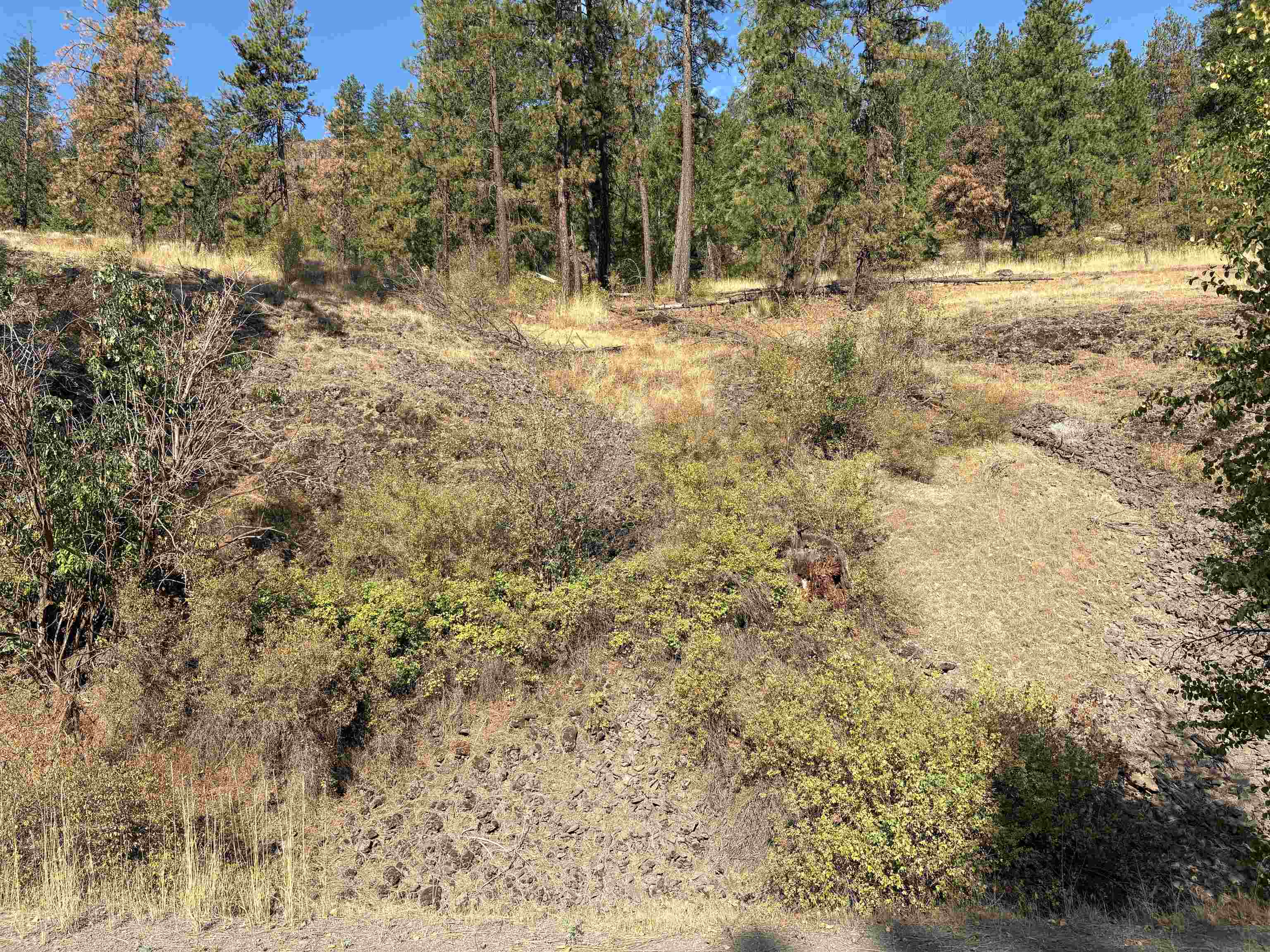 32900 Hawk Creek Ranch Road North Davenport, WA 99122 - Photo 20 of 32