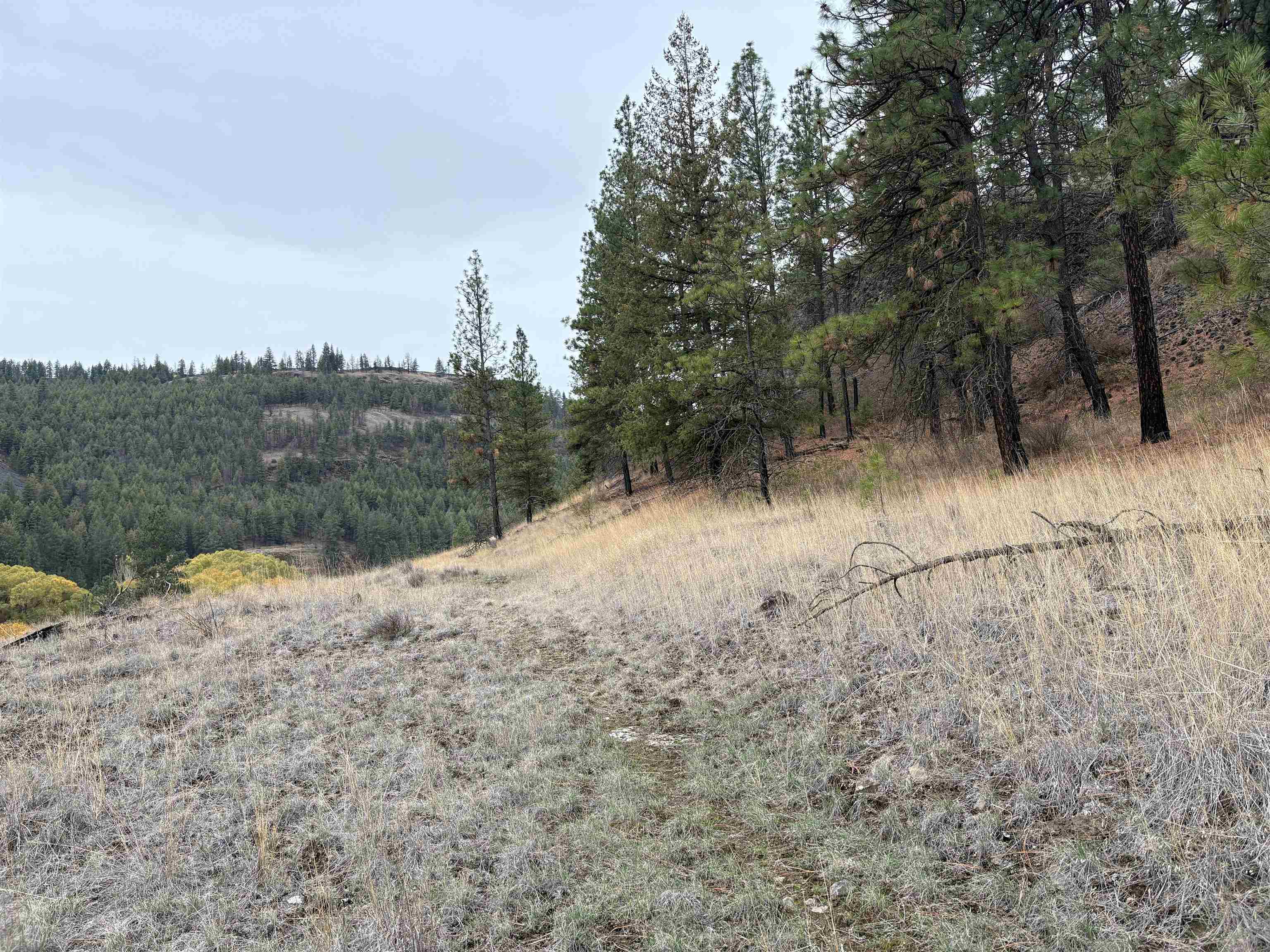 32900 Hawk Creek Ranch Road North Davenport, WA 99122 - Photo 23 of 32