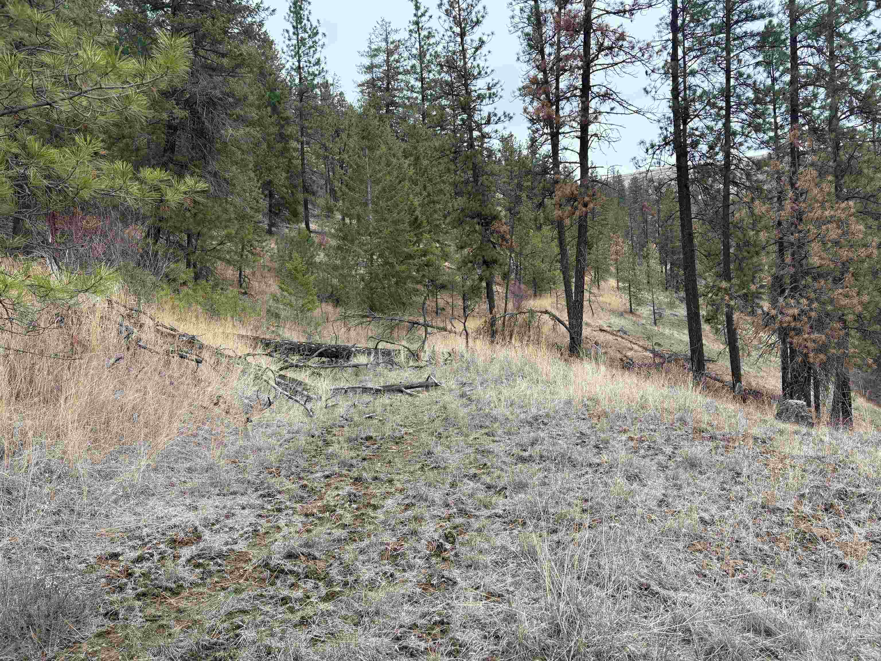 32900 Hawk Creek Ranch Road North Davenport, WA 99122 - Photo 24 of 32