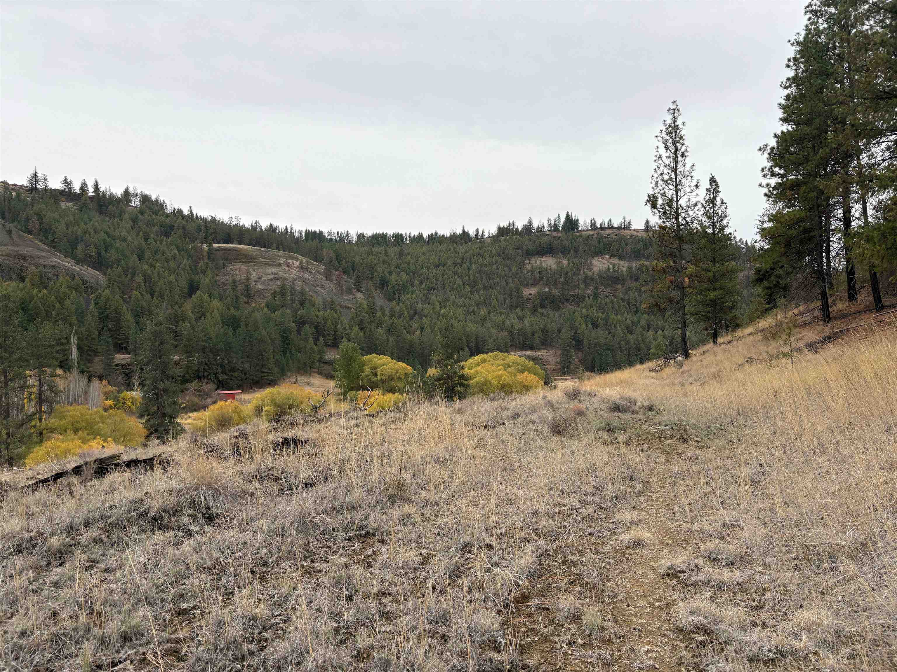 32900 Hawk Creek Ranch Road North Davenport, WA 99122 - Photo 25 of 32