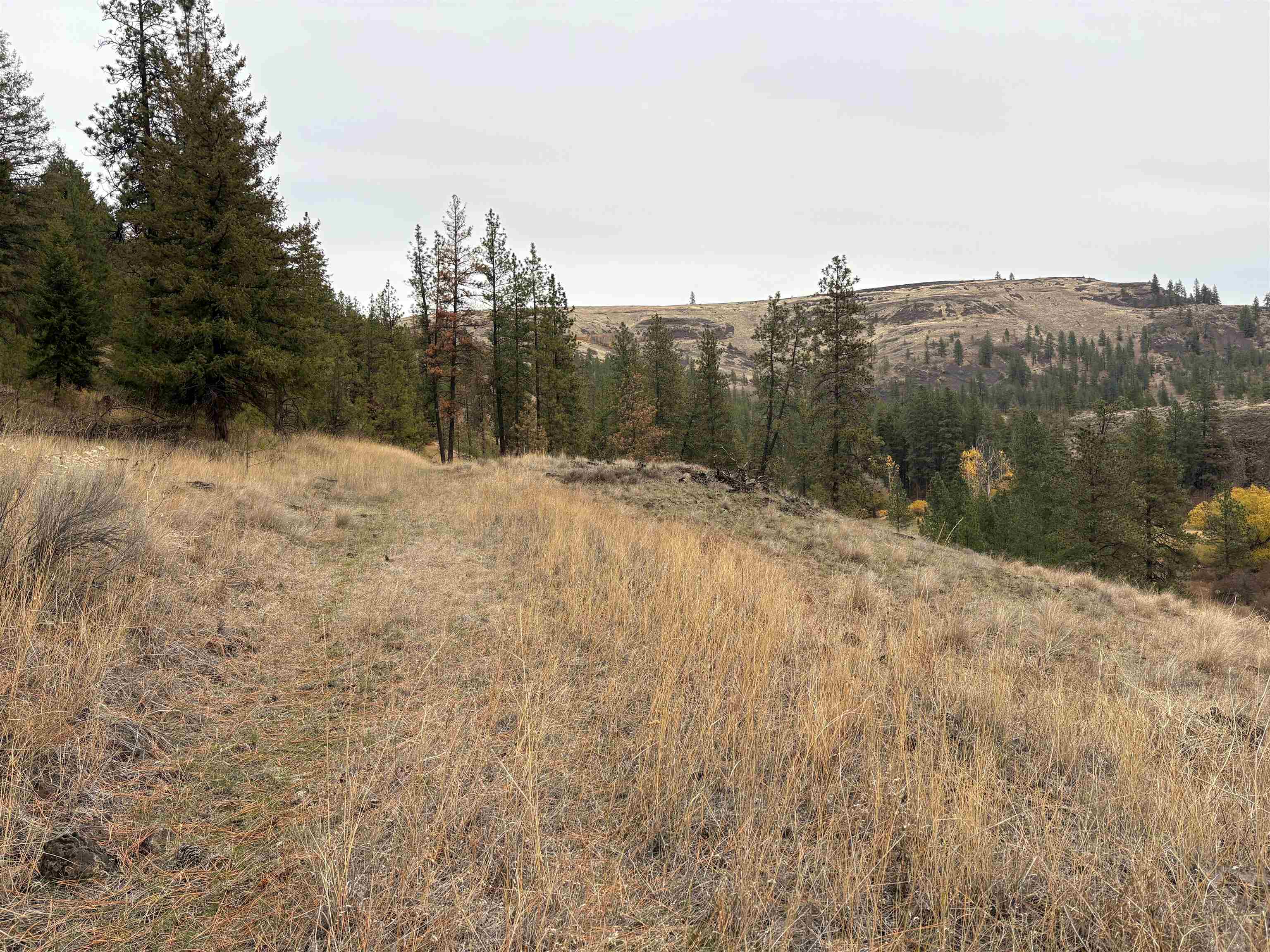 32900 Hawk Creek Ranch Road North Davenport, WA 99122 - Photo 28 of 32