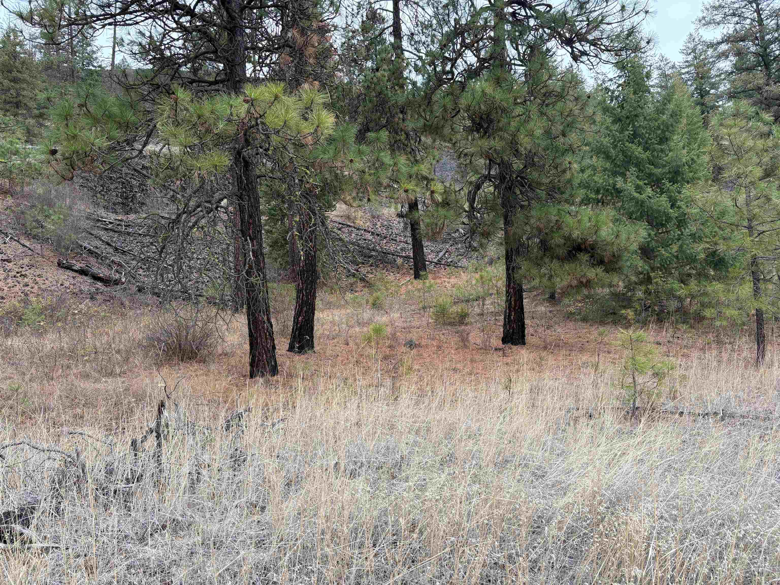 32900 Hawk Creek Ranch Road North Davenport, WA 99122 - Photo 29 of 32