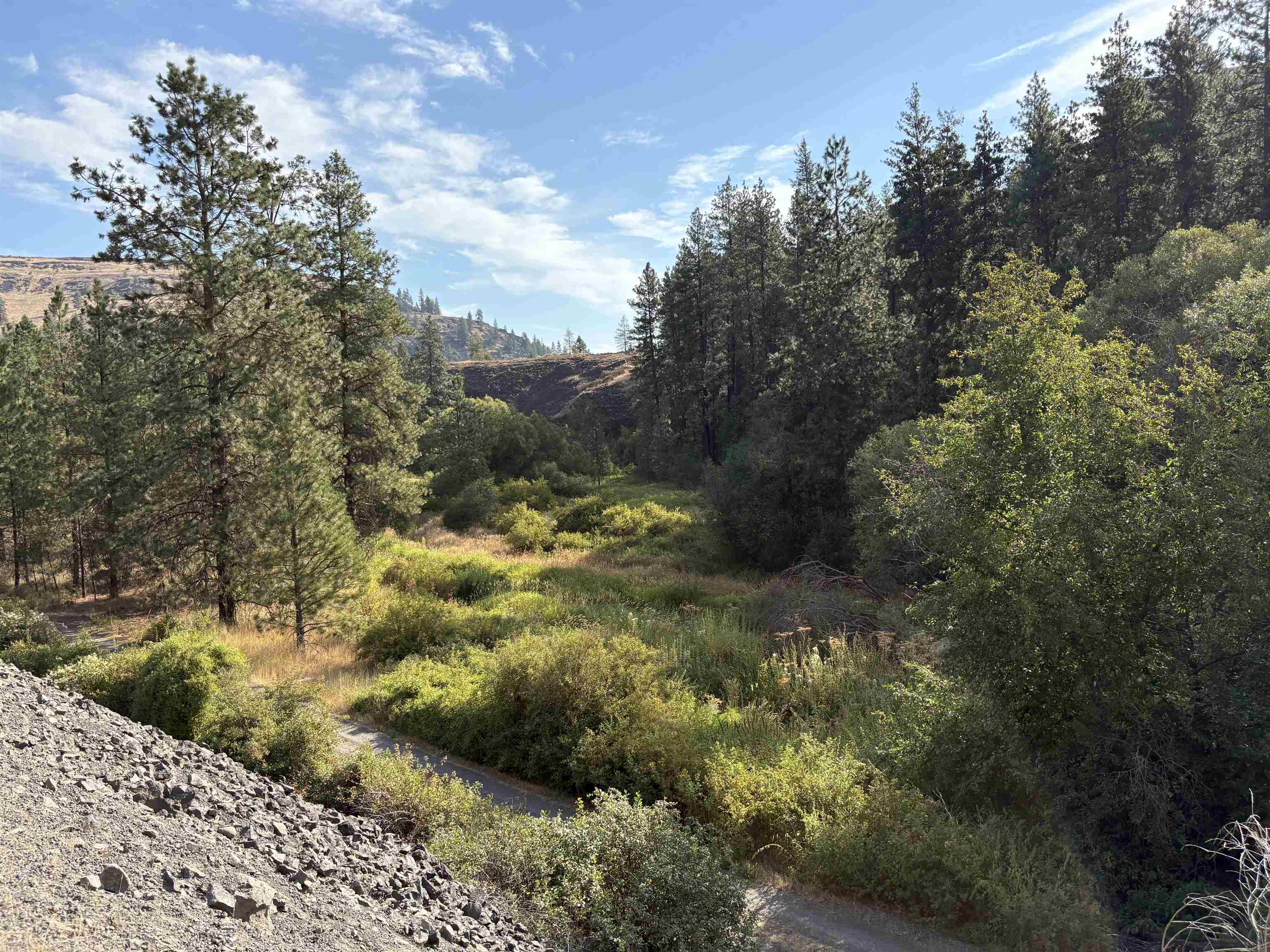 32900 Hawk Creek Ranch Road North Davenport, WA 99122 - Photo 4 of 32