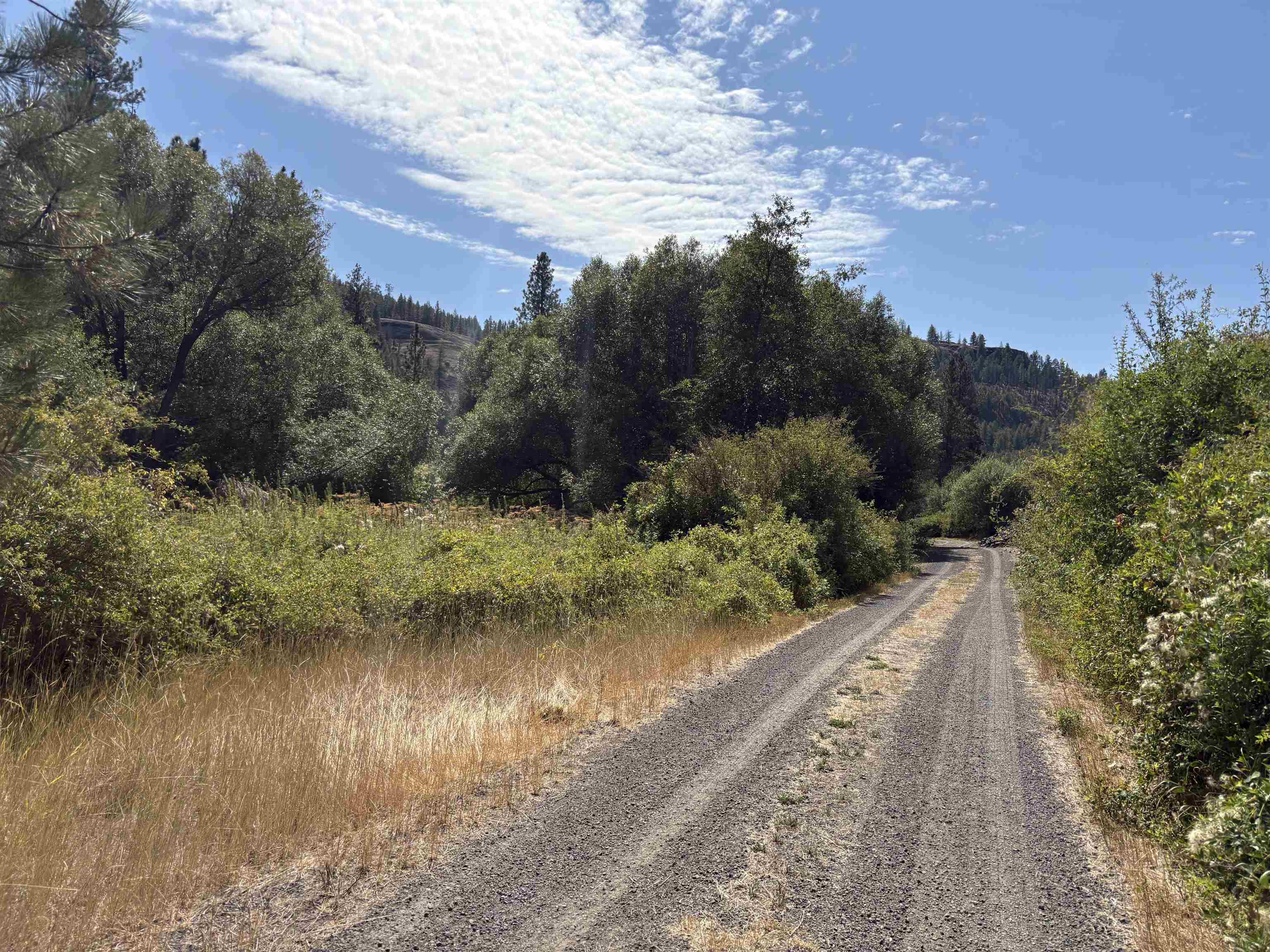 32900 Hawk Creek Ranch Road North Davenport, WA 99122 - Photo 7 of 32