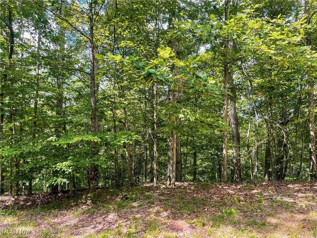 226 Banner Hill Road Spencer, WV 25276 - Photo 22 of 35