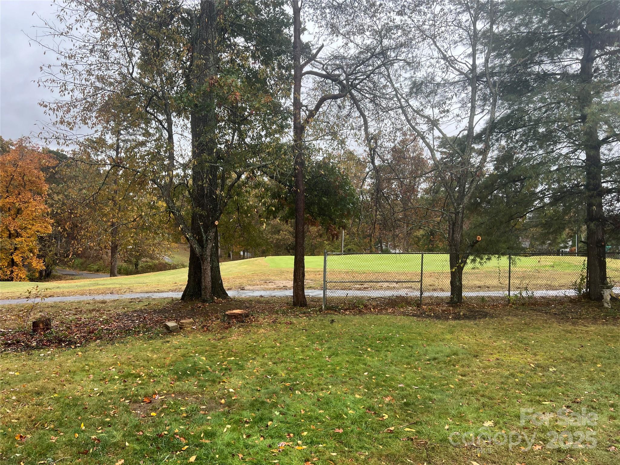 243 Governors View Road Asheville, NC 28805 - Photo 8 of 17 a view of yard with trees