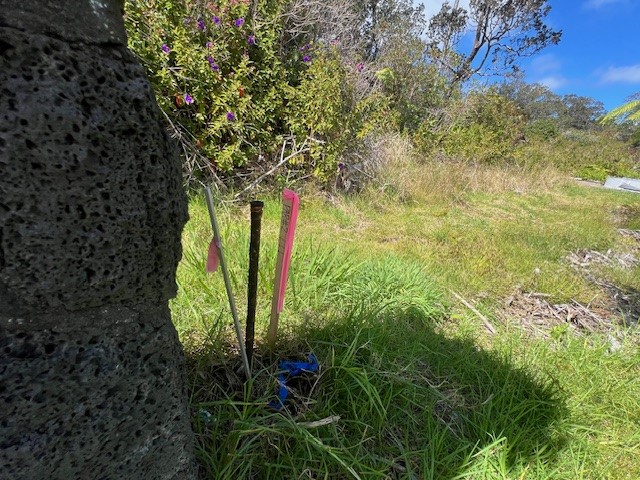 19-3926 Old Volcano Road Volcano, HI 96785 - Photo 20 of 27 Gallery Image 20