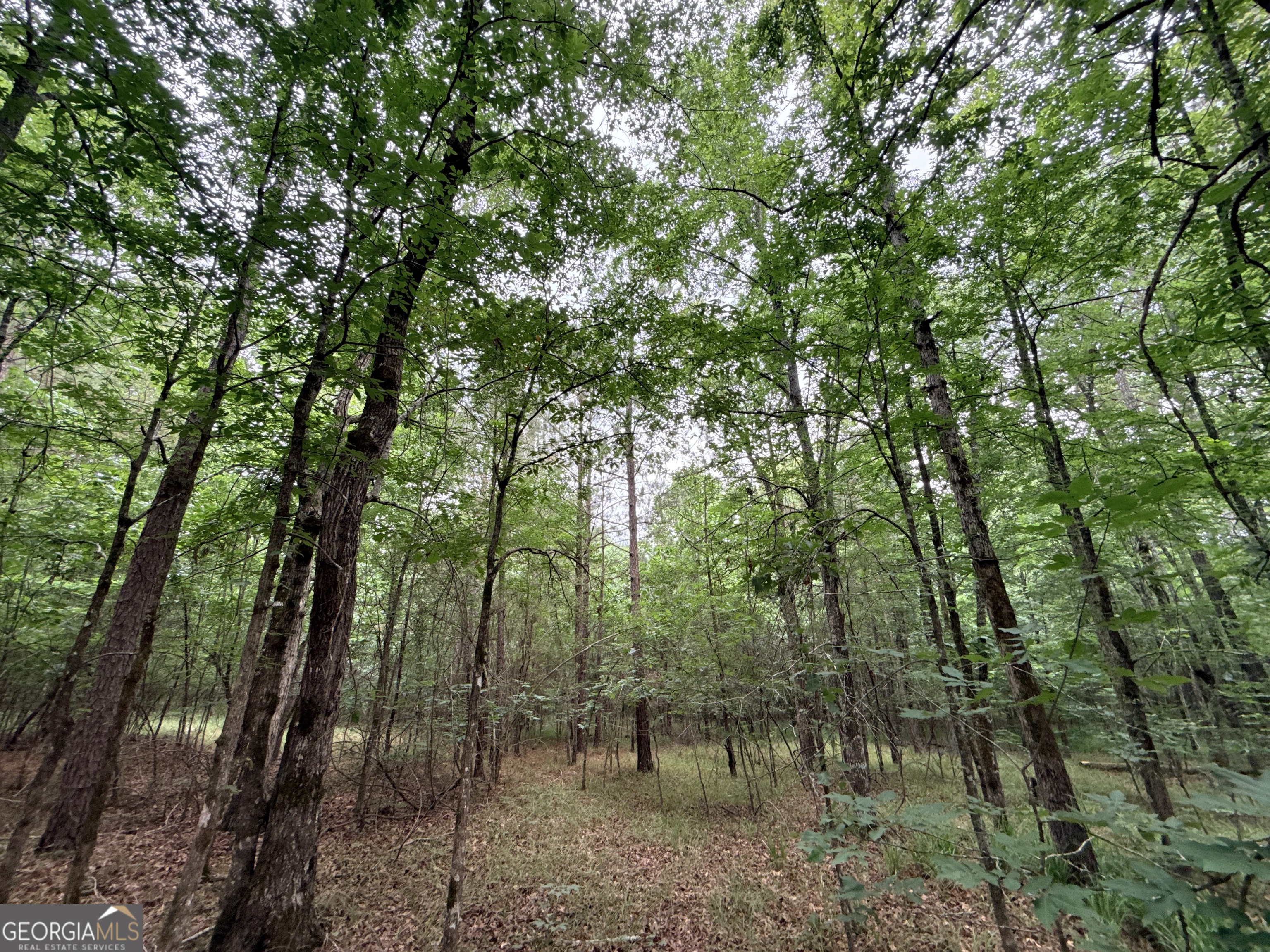 2 Bethesda Church Road Lexington, GA 30648 - Photo 15 of 66
