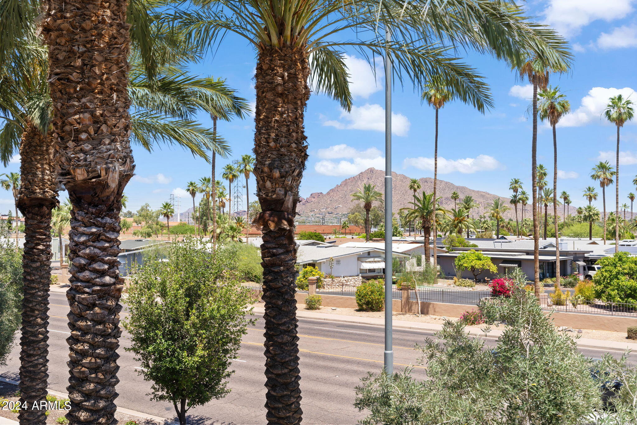 6565 East Thomas Road, Unit 1109 Scottsdale, AZ 85251 - Photo 23 of 40 a view of a city from a palm tree