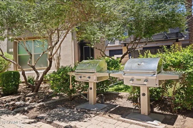 a view of a yard with plants and large trees