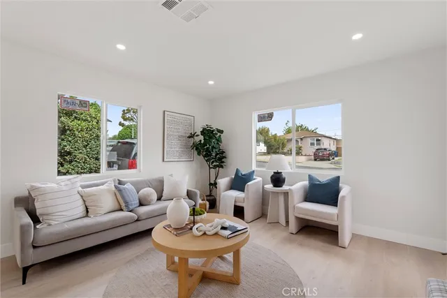 a living room with furniture a rug potted plant and a window