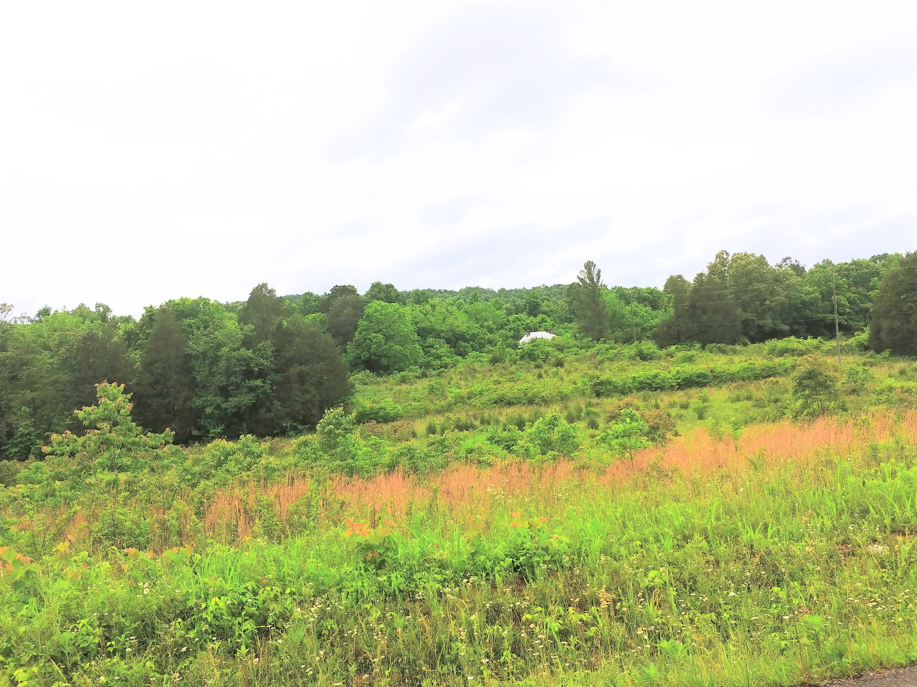 1098 Hickory Valley Road Maynardville, TN 37807 - Photo 1 of 2 20180530_130318