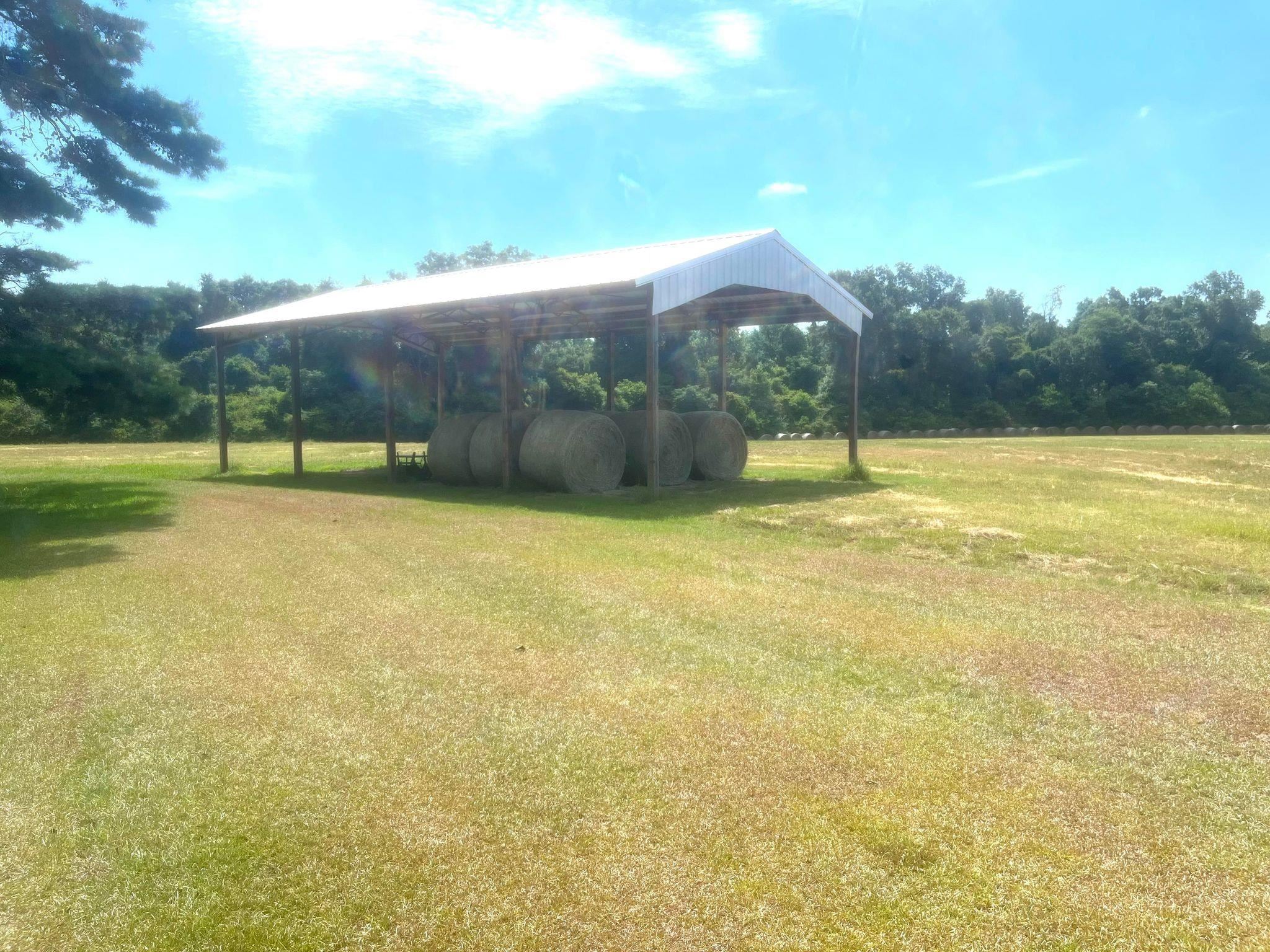 2075 Lowman Loop Road Dozier, AL 36028 - Photo 15 of 43 Gallery Image 15