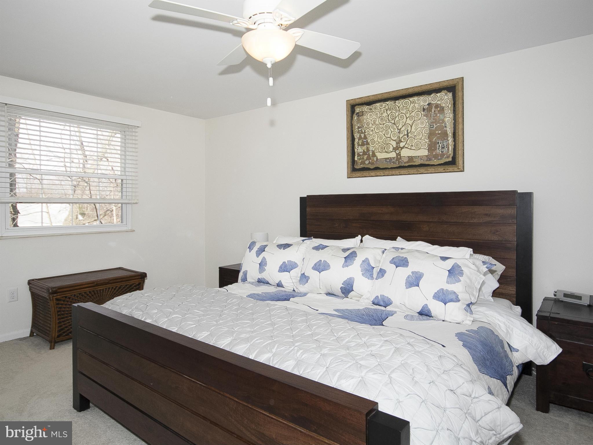 341 Timber Grove Road Owings Mills, MD 21117 - Photo 18 of 29 Bedroom (Master)