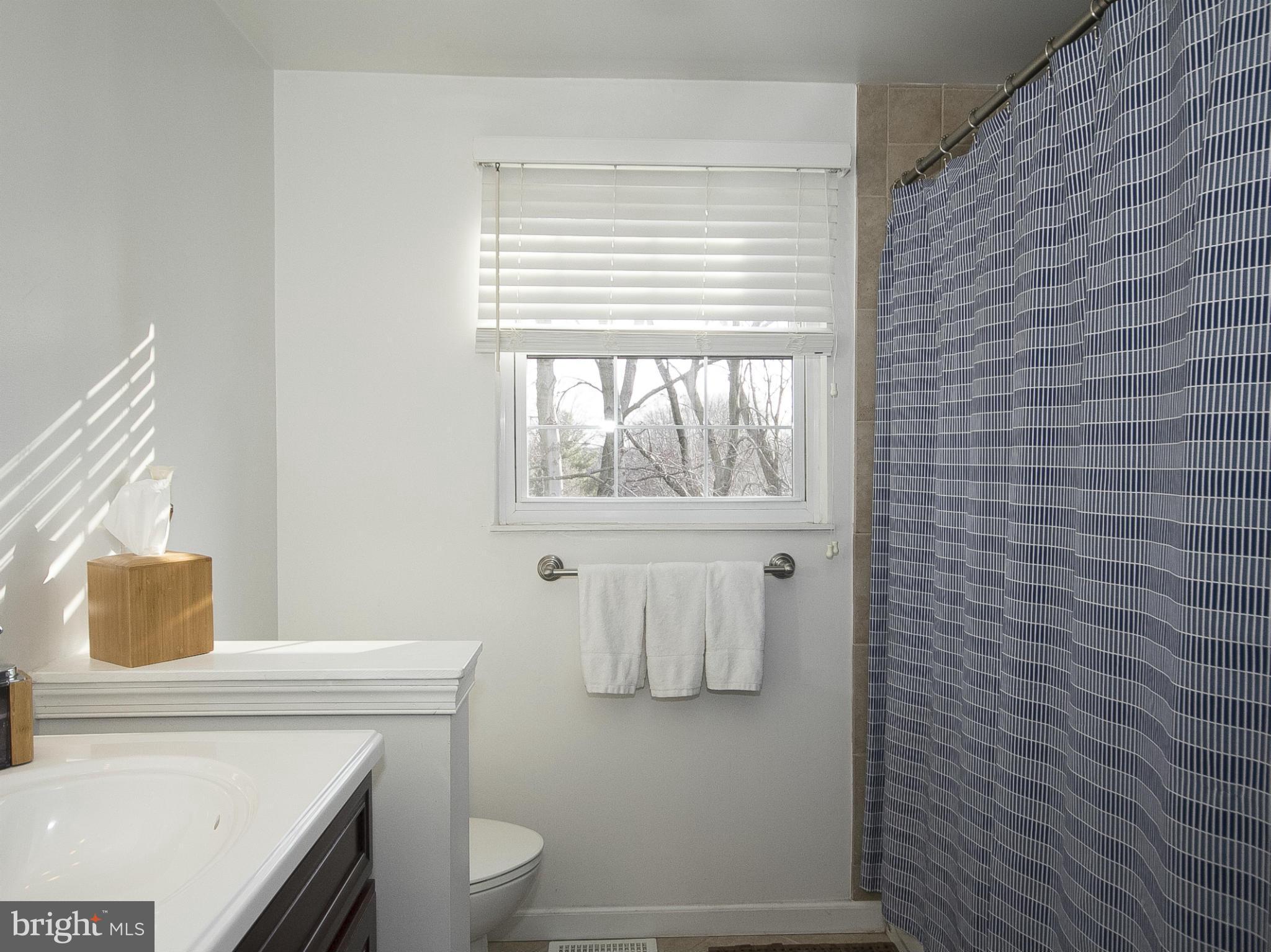 341 Timber Grove Road Owings Mills, MD 21117 - Photo 21 of 29 Bath