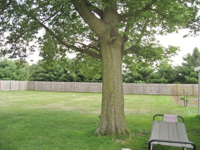 19513 West 15th Road Culver, IN 46511 - Photo 9 of 28 Gallery Image 9