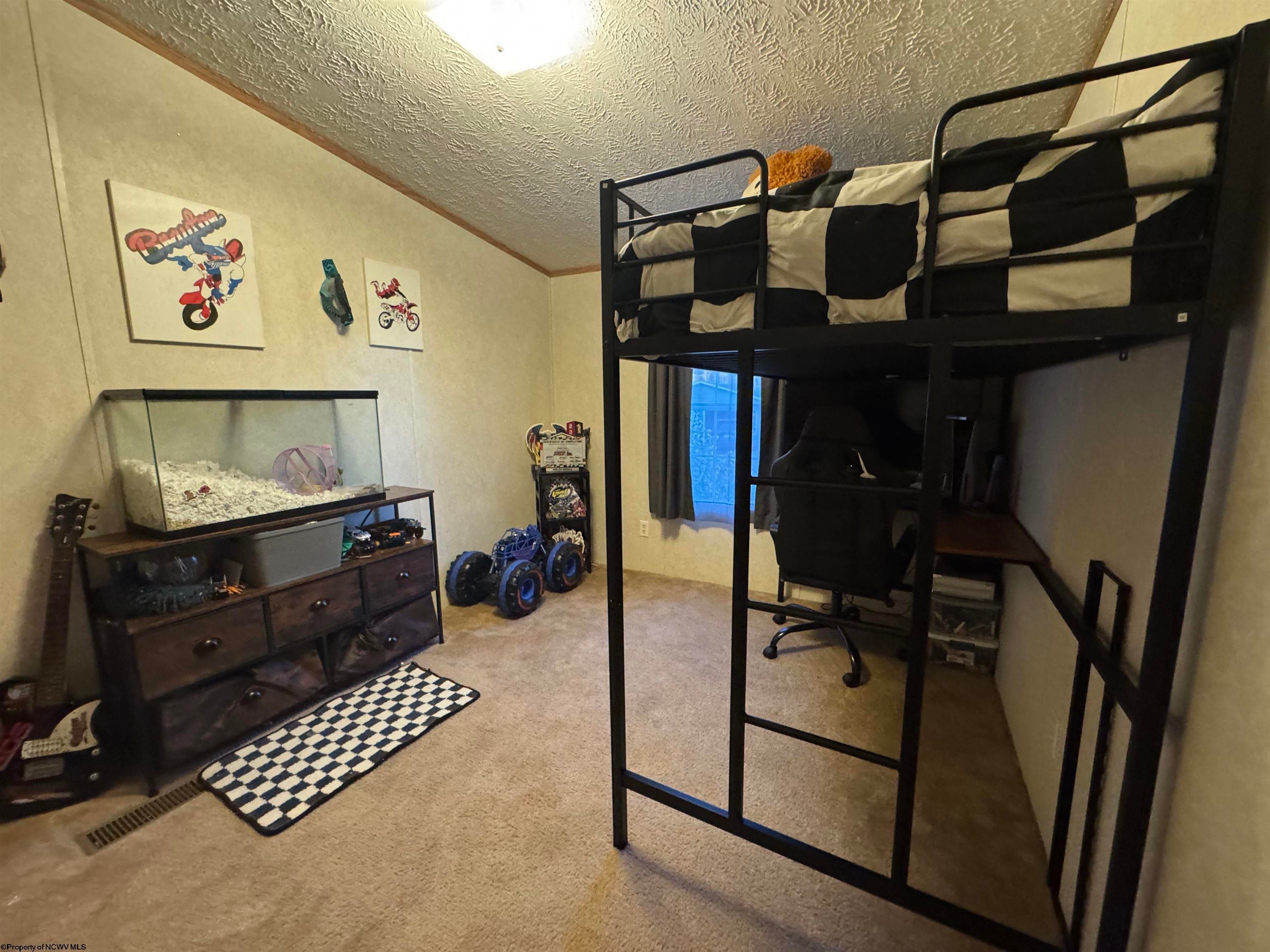 47 Rapp Drive Davis, WV 26260 - Photo 15 of 22 Gallery Image 15