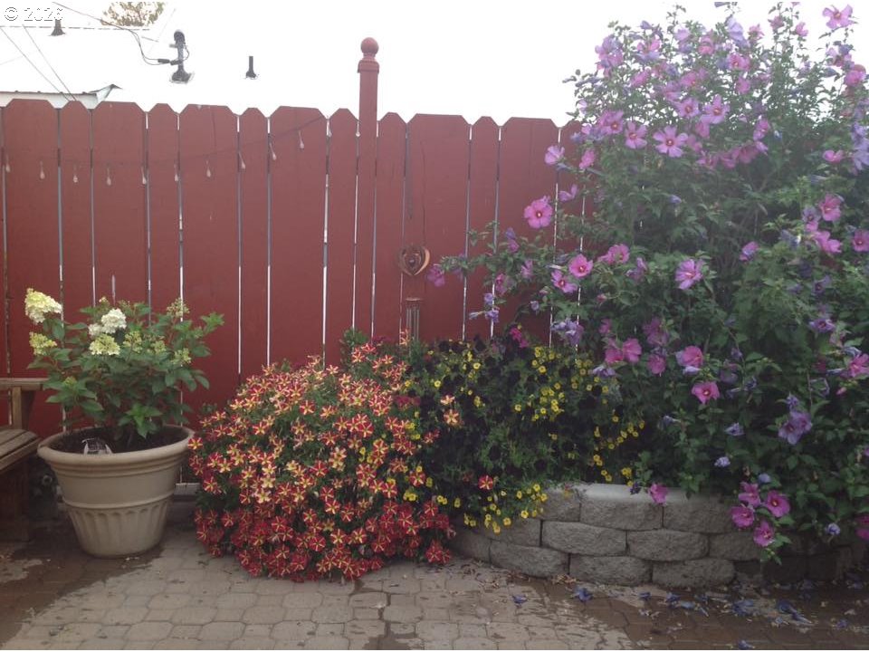 206 1/2 South Main Street Union, OR 97883 - Photo 10 of 16 a view of a bunch of flowers
