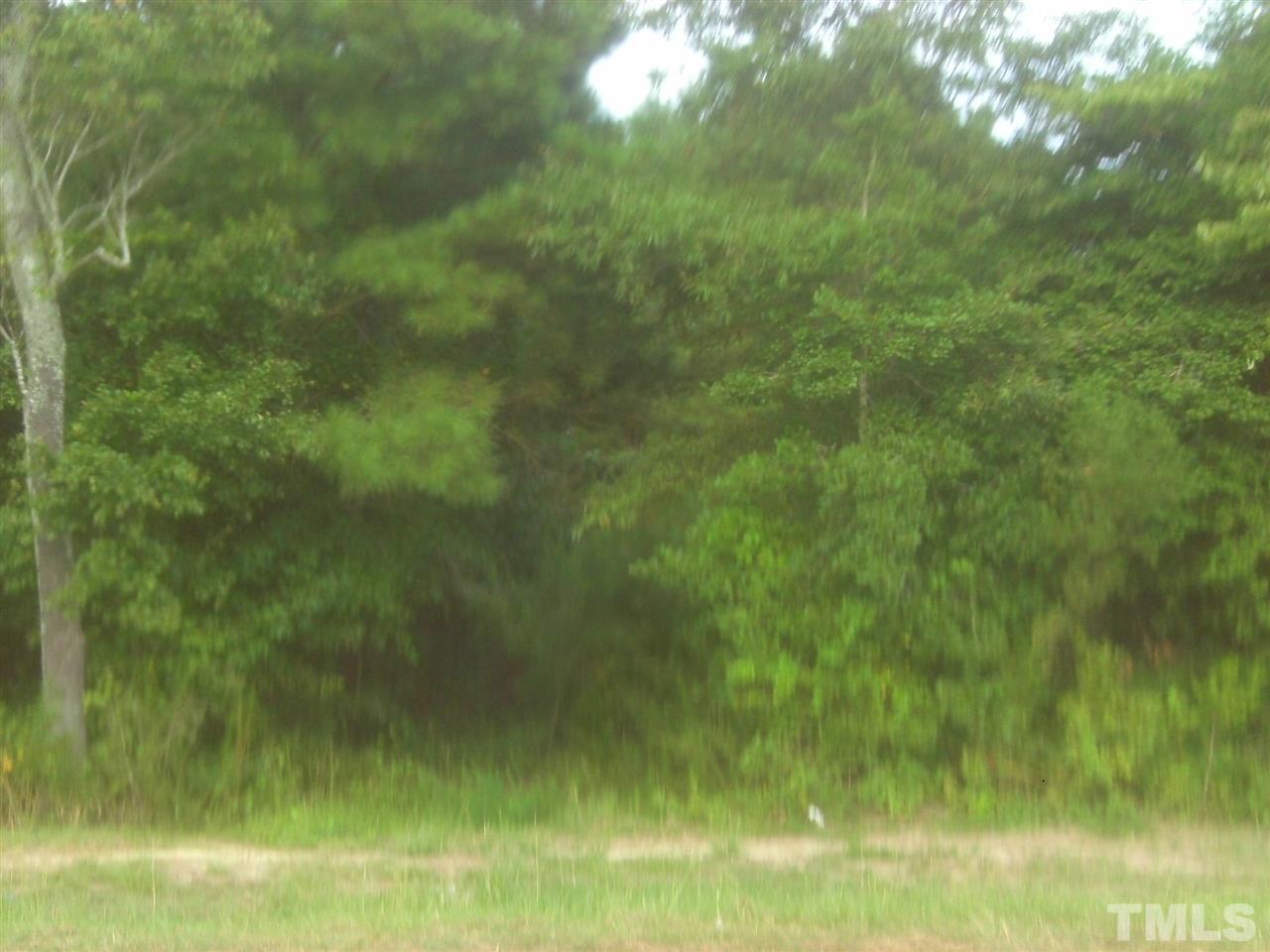 0 Onslow Stephenson Road Angier, NC 27501 - Photo 2 of 3