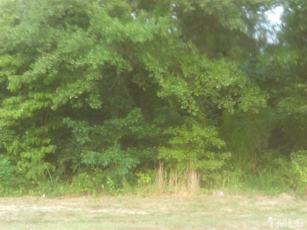 0 Onslow Stephenson Road Angier, NC 27501 - Photo 3 of 3