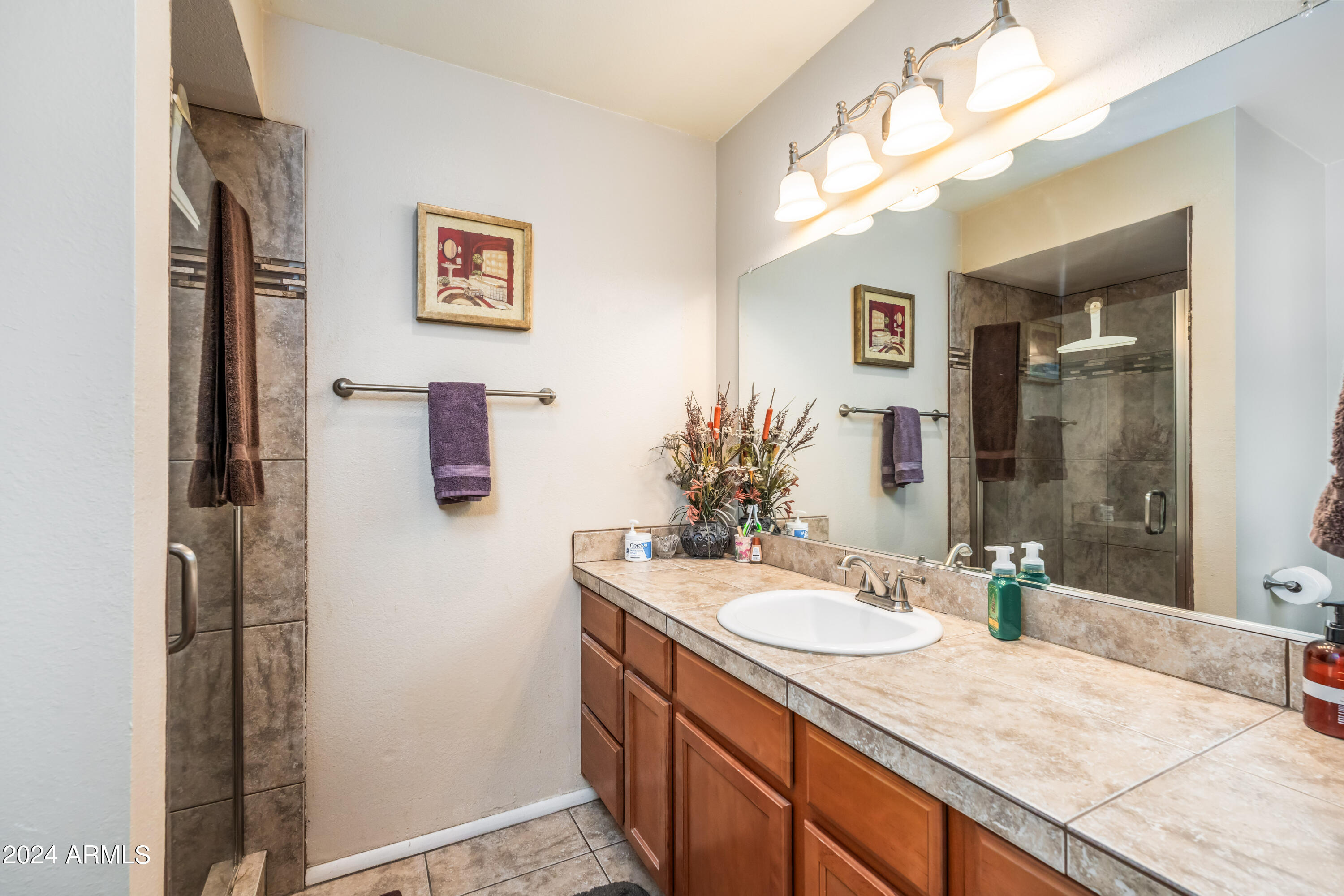 6717 East Decatur Street Mesa, AZ 85205 - Photo 18 of 25 Primary Bath