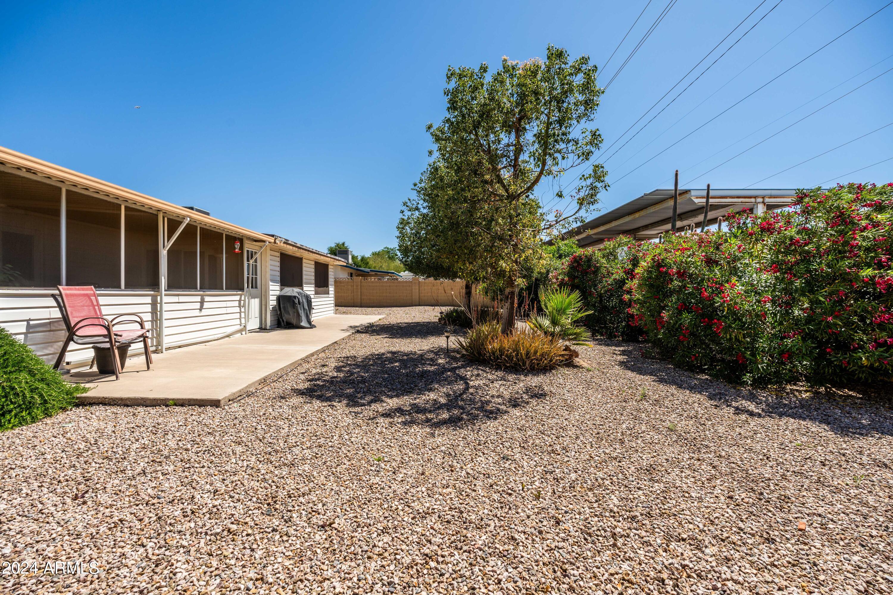 6717 East Decatur Street Mesa, AZ 85205 - Photo 24 of 25 Backyard