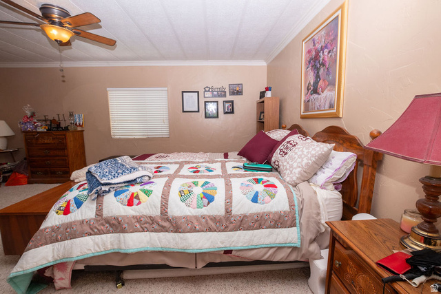 855 East 300 N Street Beaver, UT 84713 - Photo 21 of 44 Bedroom featuring light-colored walls and carpet flooring