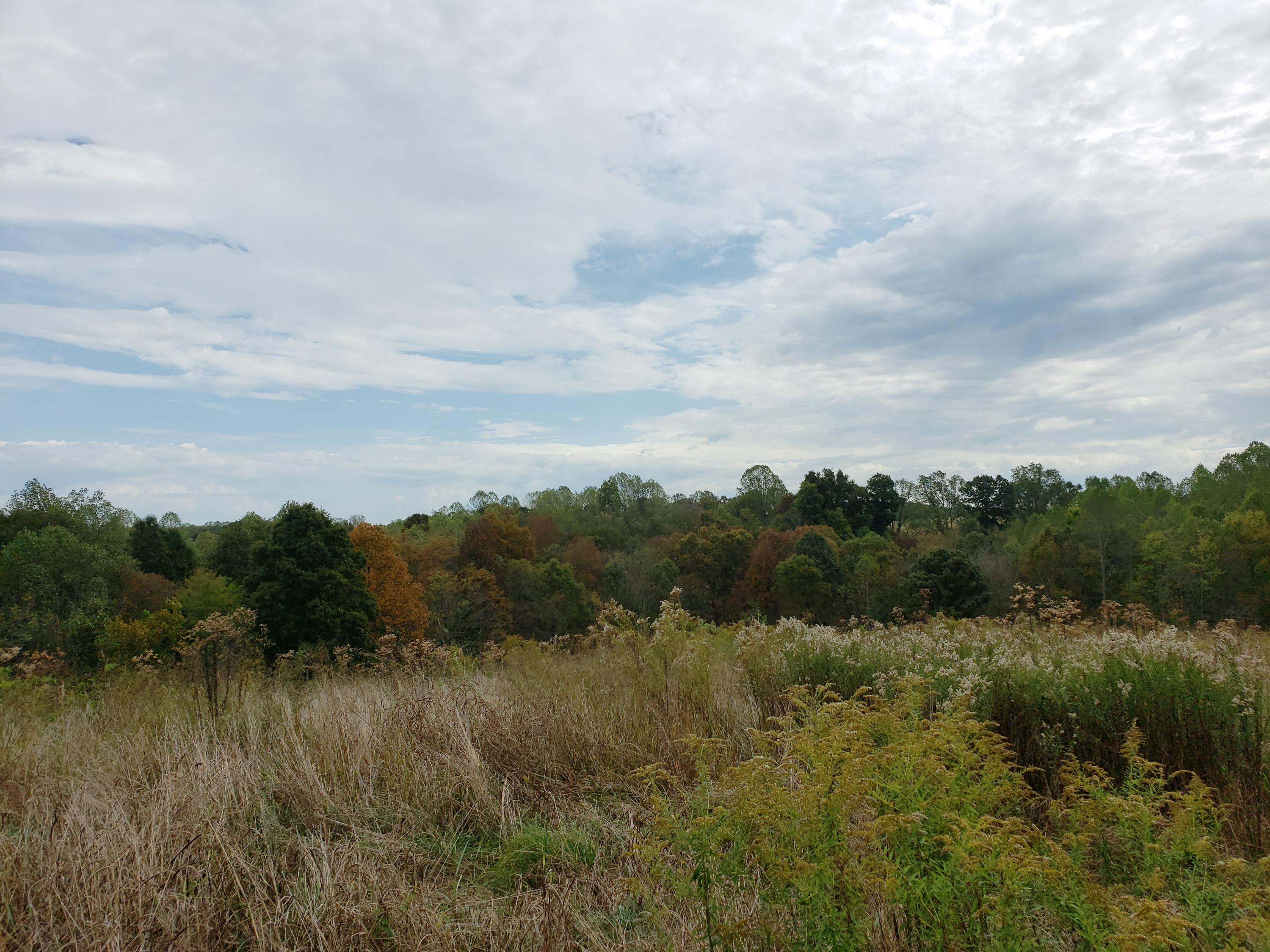 64 Raney Road Yosemite, KY 42566 - Photo 14 of 21 20191011_132913