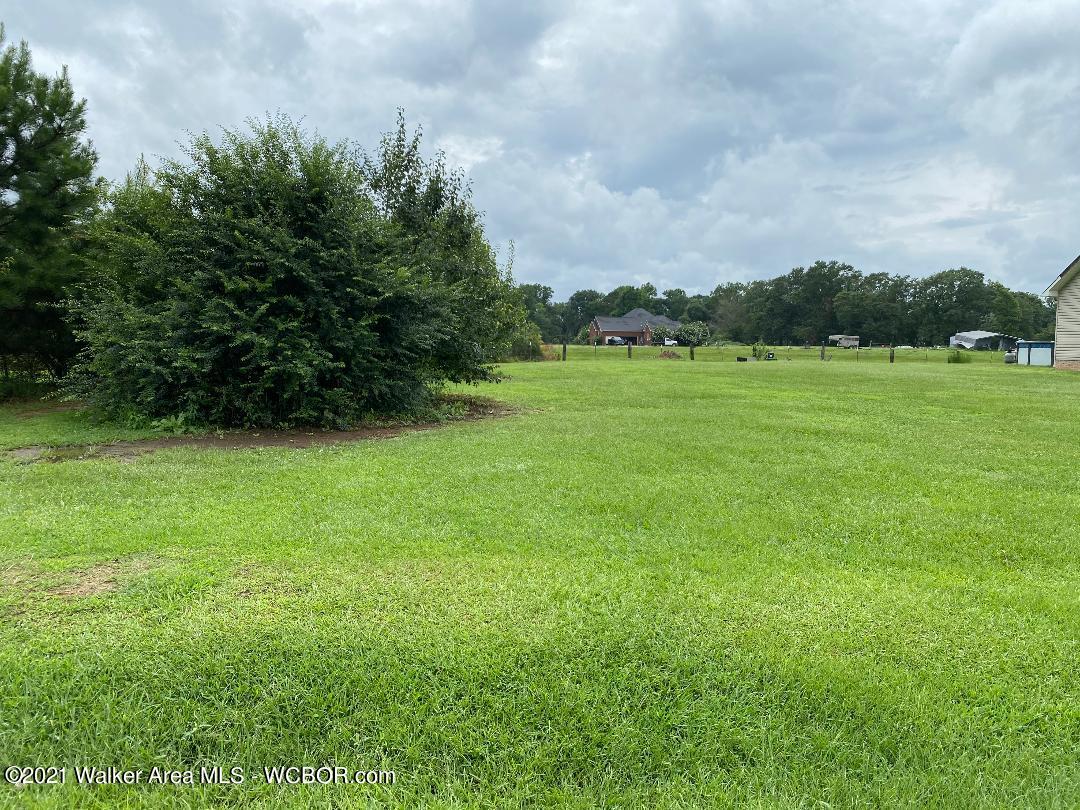 Boldo Road Jasper, AL 35504 - Photo 1 of 2 Gallery Image 1