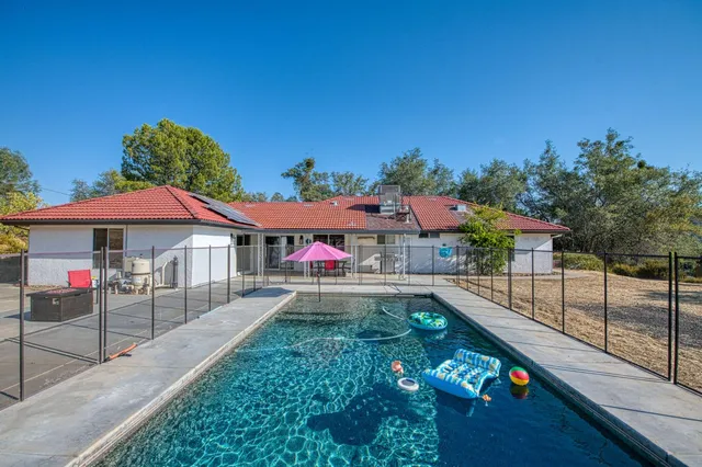 a small garden covered with tall trees