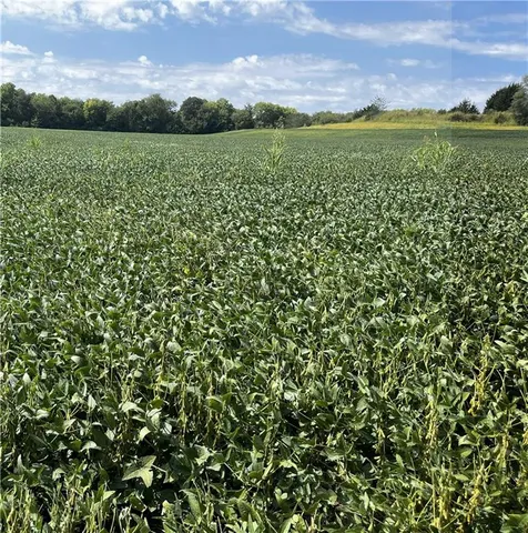 $649,750 | Y Highway, Oregon, MO 64473