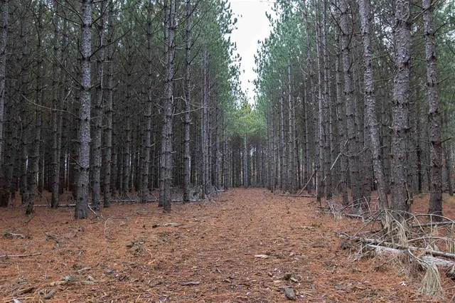 $189,900 | 1035A Beaver Avenue, Nekoosa, WI 54457