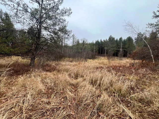 $189,900 | 1035A Beaver Avenue, Nekoosa, WI 54457