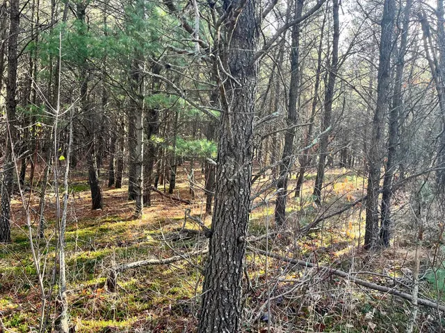 $189,900 | 1035A Beaver Avenue, Nekoosa, WI 54457