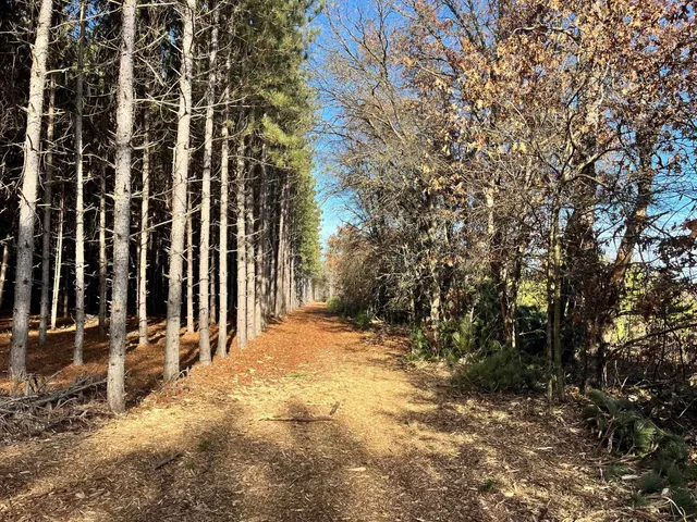 $189,900 | 1035A Beaver Avenue, Nekoosa, WI 54457