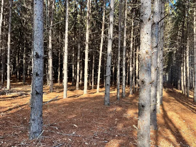 $189,900 | 1035A Beaver Avenue, Nekoosa, WI 54457