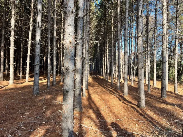 $189,900 | 1035A Beaver Avenue, Nekoosa, WI 54457